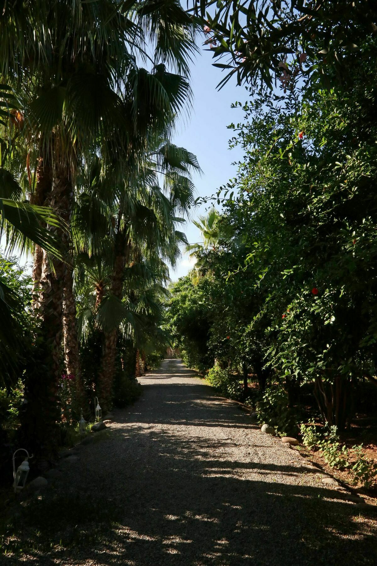 Le Bled Ferme Bed & Breakfast Lahebichate Exterior foto